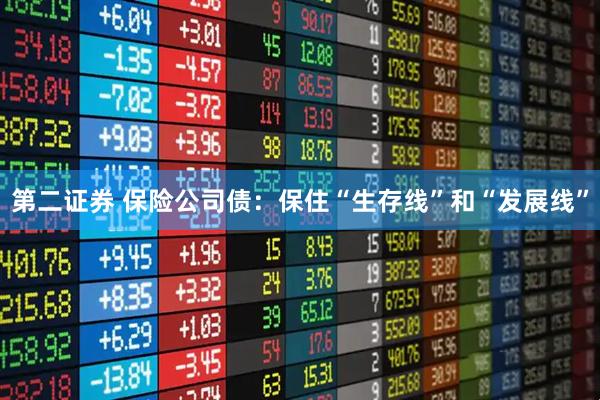 第二证券 保险公司债：保住“生存线”和“发展线”