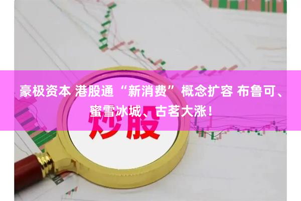 豪极资本 港股通 “新消费” 概念扩容 布鲁可、蜜雪冰城、古茗大涨！