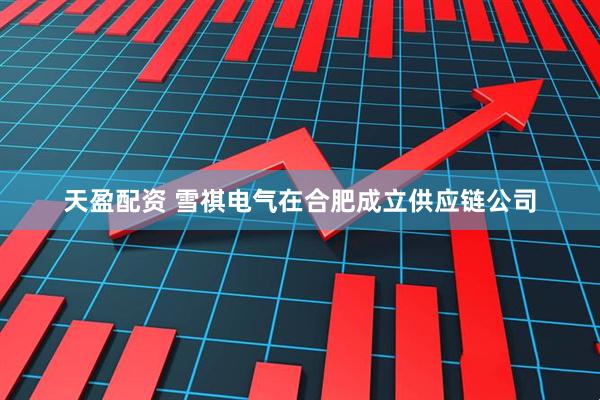 天盈配资 雪祺电气在合肥成立供应链公司