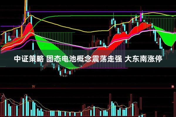 中证策略 固态电池概念震荡走强 大东南涨停