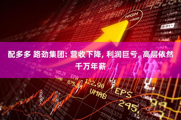 配多多 路劲集团: 营收下降, 利润巨亏, 高层依然千万年薪