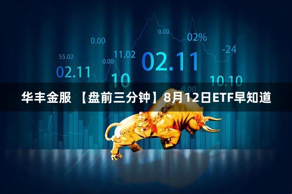 华丰金服 【盘前三分钟】8月12日ETF早知道
