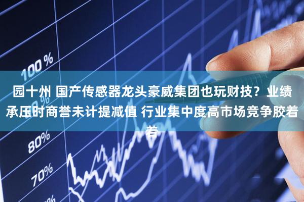 园十州 国产传感器龙头豪威集团也玩财技？业绩承压时商誉未计提减值 行业集中度高市场竞争胶着