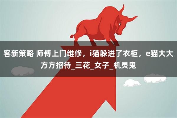 客新策略 师傅上门维修，i猫躲进了衣柜，e猫大大方方招待_三花_女子_机灵鬼