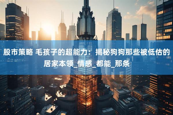 股市策略 毛孩子的超能力：揭秘狗狗那些被低估的居家本领_情感_都能_那条