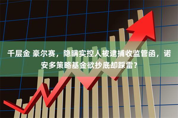 千层金 豪尔赛，隐瞒实控人被逮捕收监管函，诺安多策略基金欲抄底却踩雷？