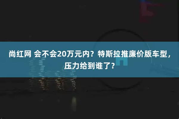 尚红网 会不会20万元内？特斯拉推廉价版车型，压力给到谁了？